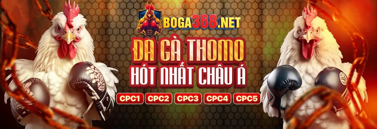 Giao diện hướng dẫn cá cược đá gà tại 999win app